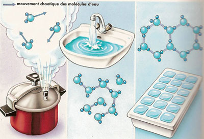 Mouvement des molécules d'eau