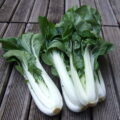 Brèdes Bok Choi