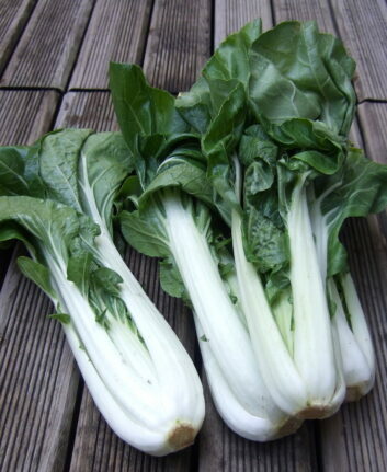 Brèdes Bok Choi