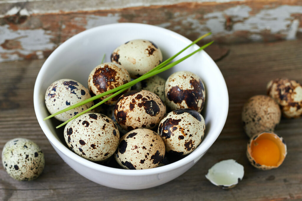 Oeufs de caille ©comeirrez shutterstock