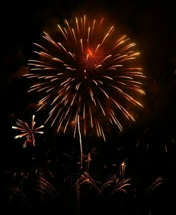 Happy New Year © anncapictures de Pixabay