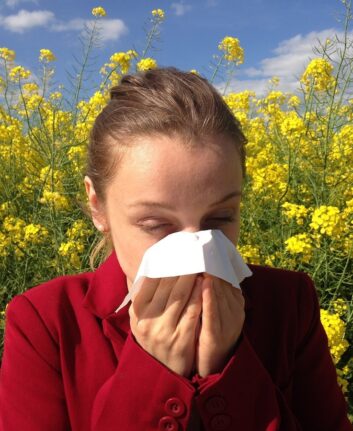 Allergie saisonnière © Corina de Pixabay Pxabay