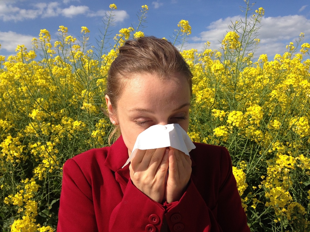 Allergie saisonnière © Corina de Pixabay Pxabay
