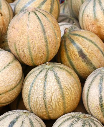Comment choisir un melon ©Breaking The Walls shutterstock
