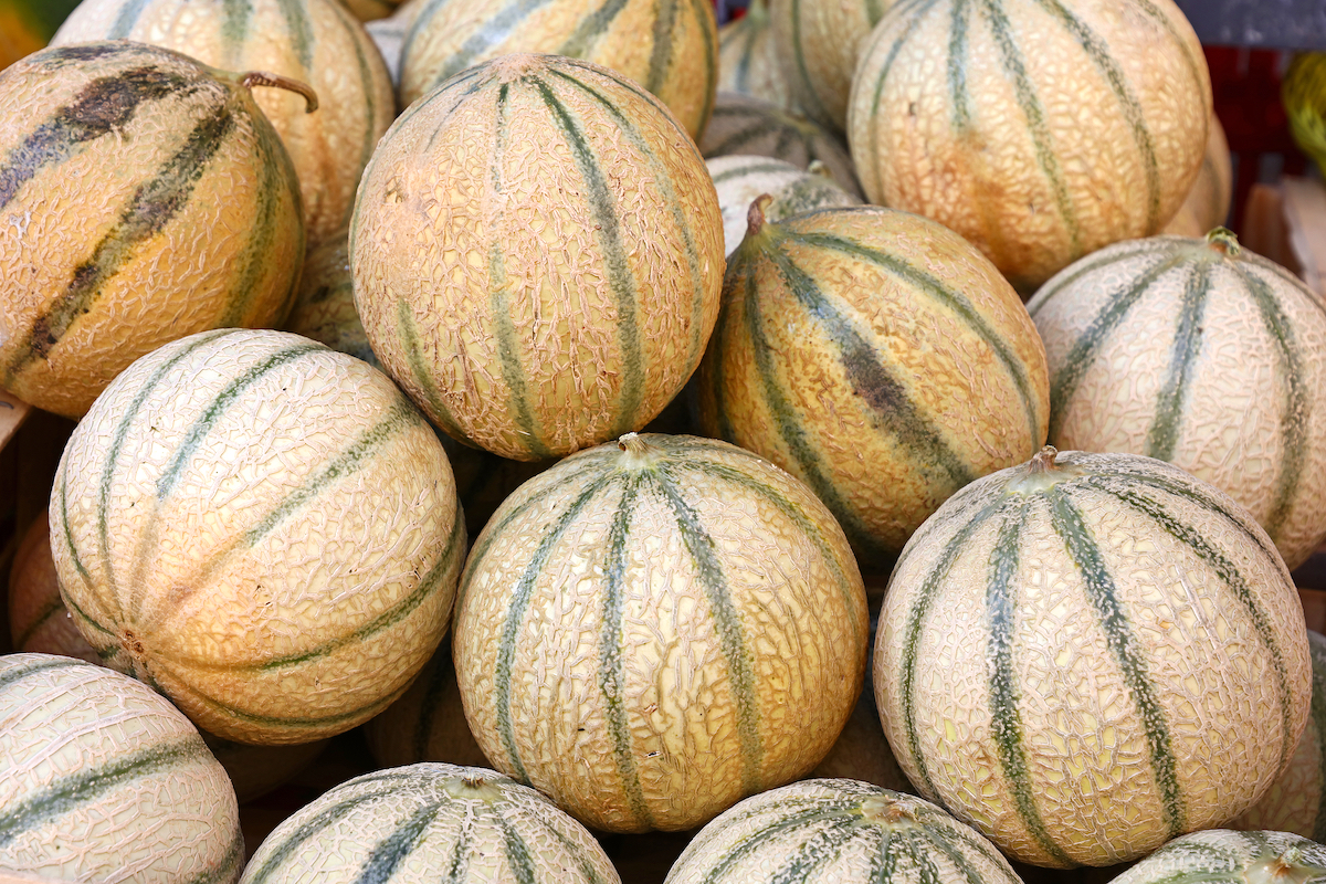 Comment choisir un melon ©Breaking The Walls shutterstock