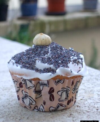 Cupcake citron pavot
