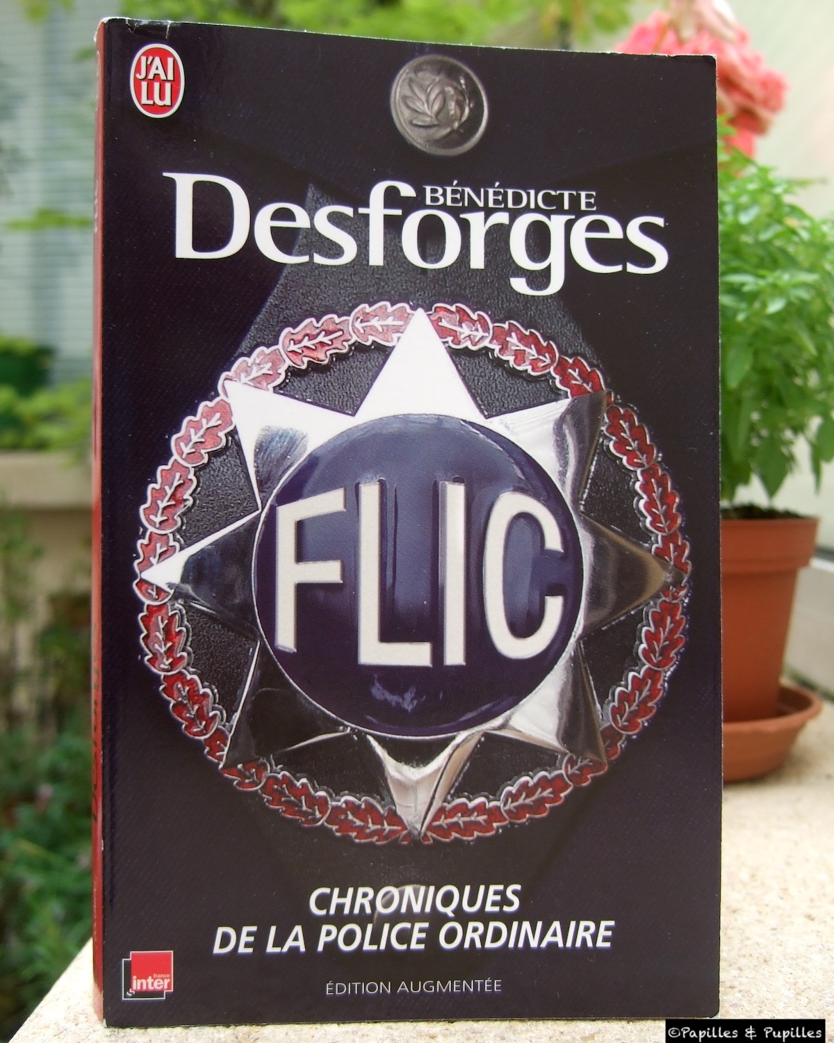 Flic - Bénédicte Desforges