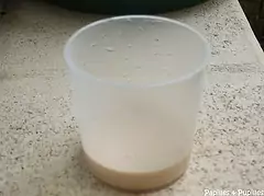 Levure liquide
