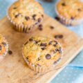 Muffins aux pépites de chocolat ©Masha Nemova shutterstock