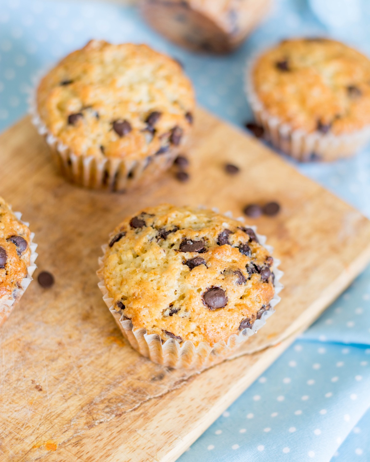 Muffins aux pépites de chocolat ©Masha Nemova shutterstock
