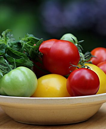 Tomates (c) Oldie Fan CCO Pixabay Public domain