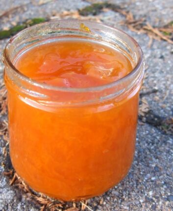 Confiture d'abricots