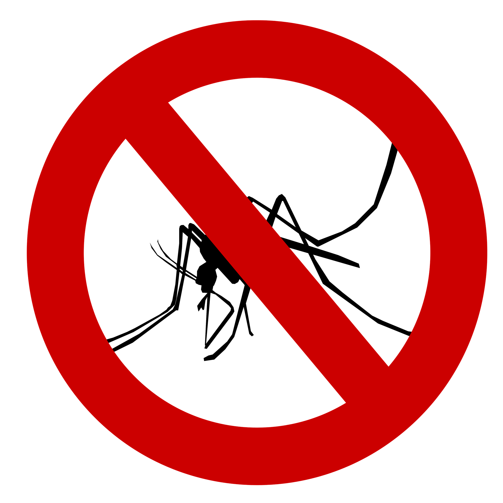 Moustiques ©Elionas CC0 Pixabay