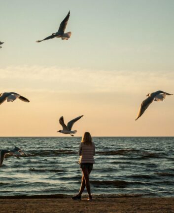 Bord de mer ©amytro_R de Pixabay