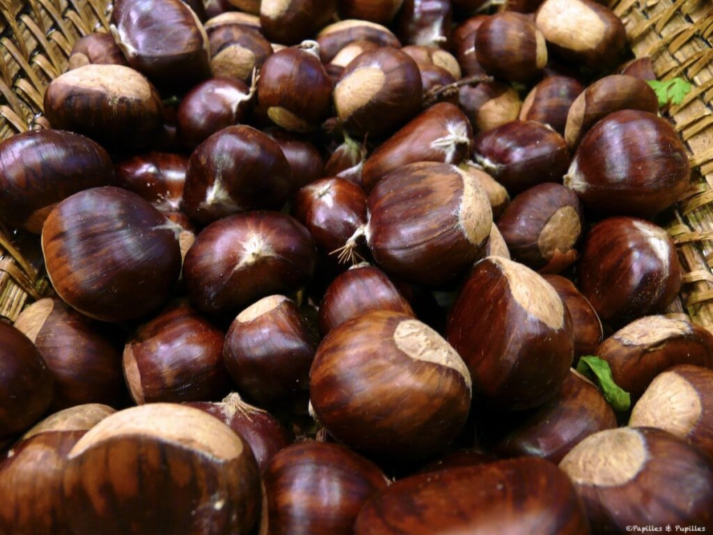Châtaignes