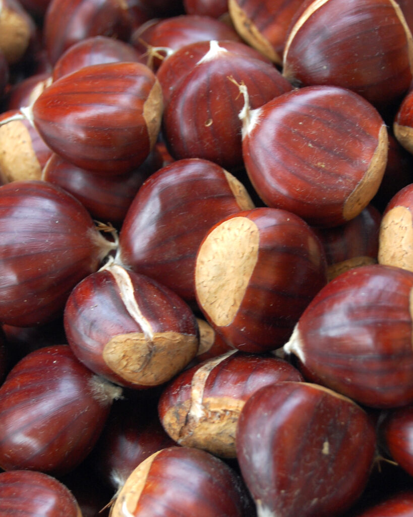 Châtaignes ©Christine Fournier CC BY-NC 2.0