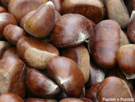 Châtaignes