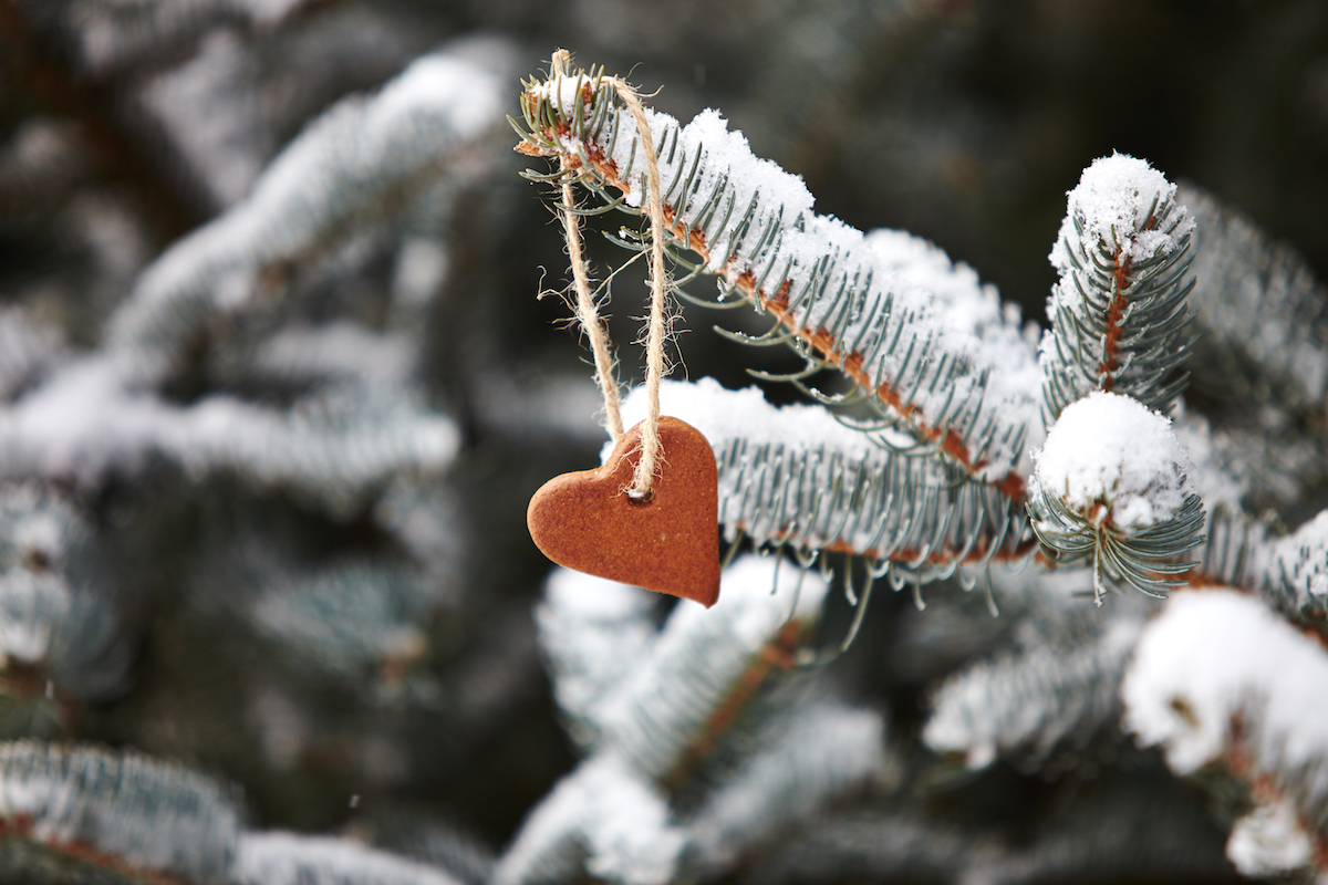 Esprit de Noël ©Anna Kuzmina - Shutterstock