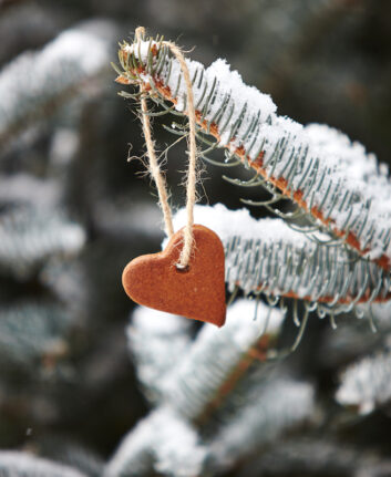 Esprit de Noël ©Anna Kuzmina - Shutterstock