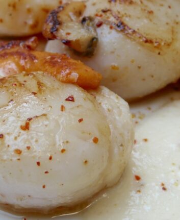 Saint Jacques poêlées au confit de safran