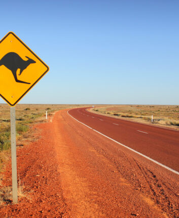 Kangaroo,Traffic,Sign