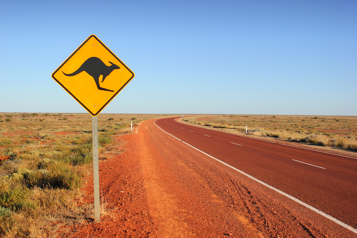 Kangaroo,Traffic,Sign