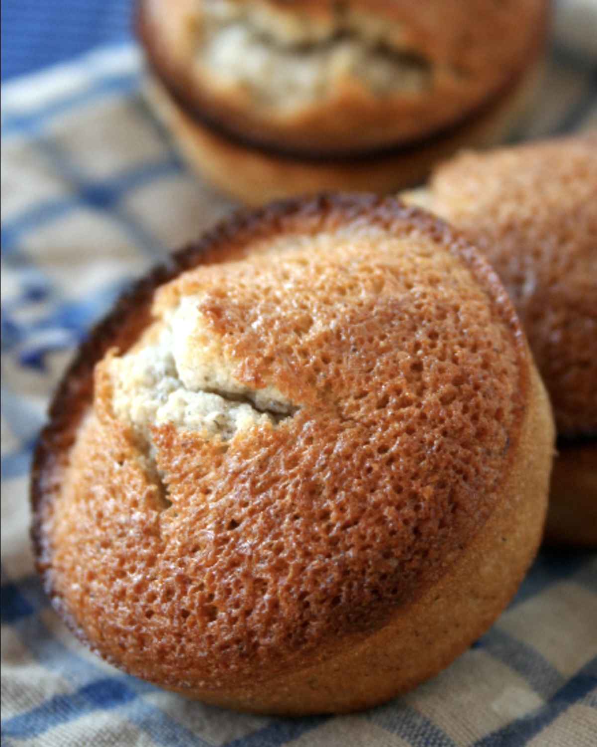 Financier au sarrasin et abricots sans gluten