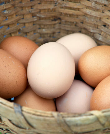 Oeufs ©United Soybean Board CC BY 2.0