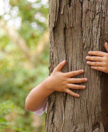 Forêt ©Helder Almeida shutterstock