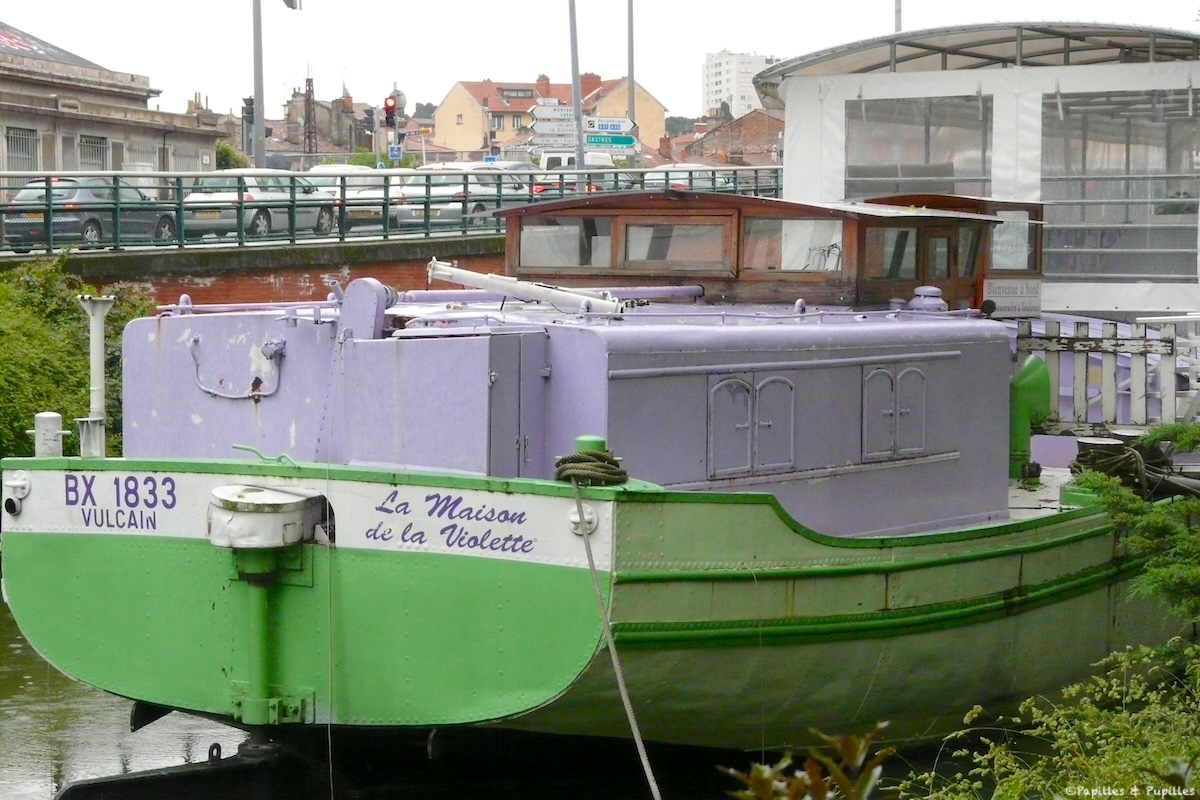 Maison de la violette Toulouse