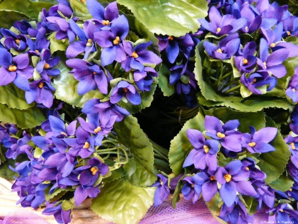 Violettes Toulouse