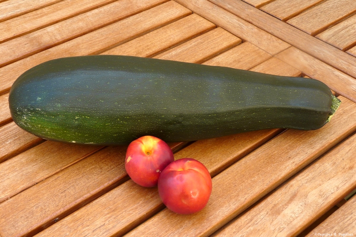 Courgette géante
