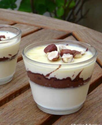 Panacotta au nutella