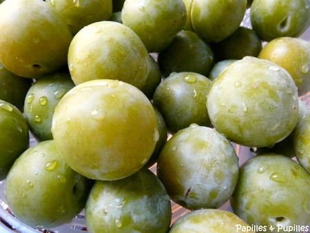 Prunes