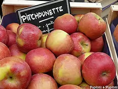 Pitchounette