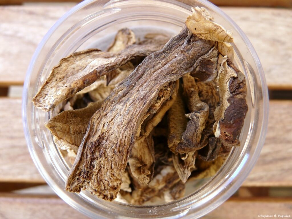 Cèpes séchés