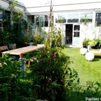 Jardin intérieur