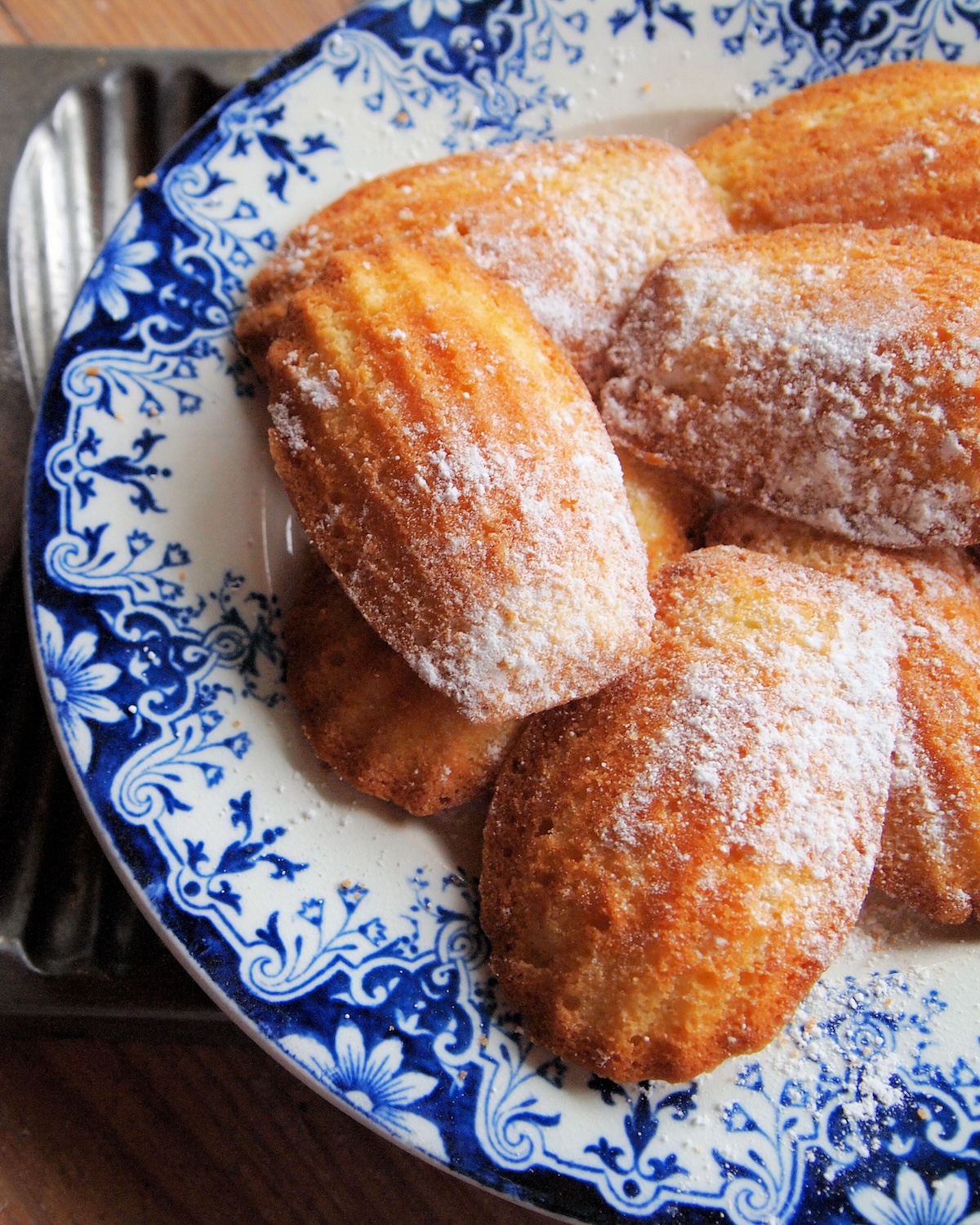 Madeleine ©Karen Booth CCBYND20