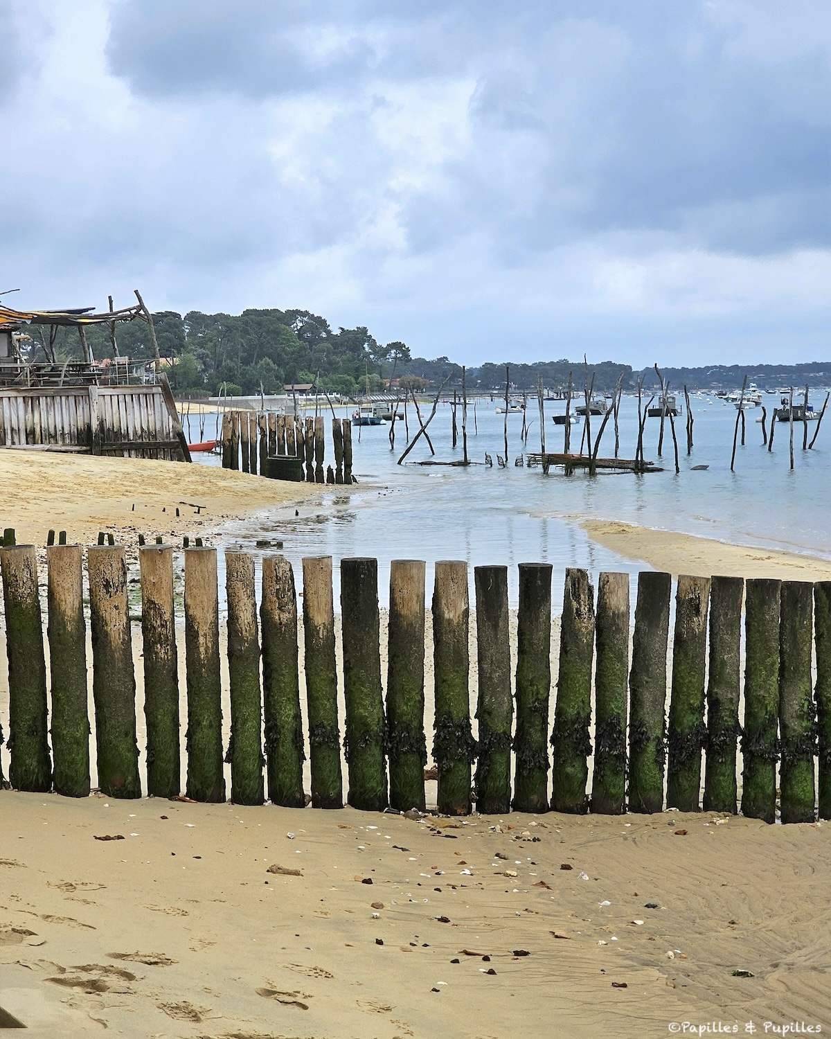 Parc à huîtres Cap Ferret
