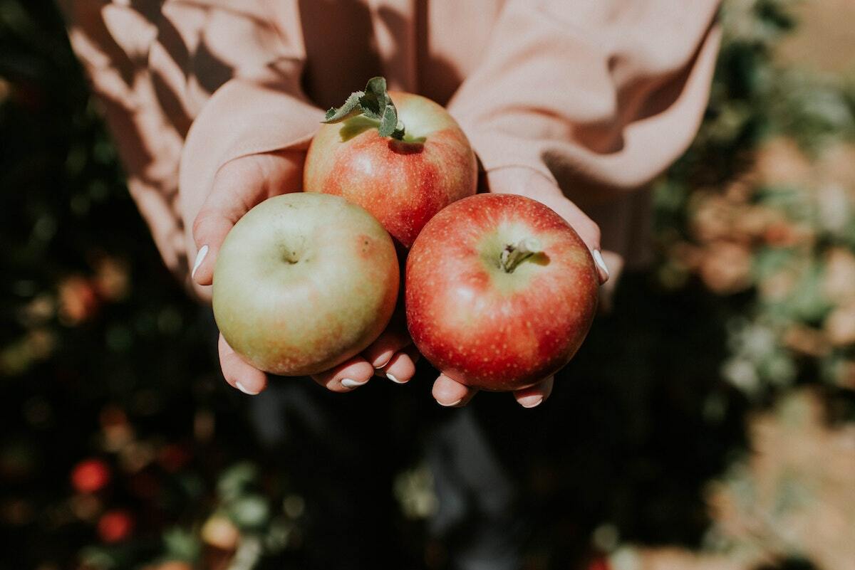 Pommes © Natalie Grainger on Unsplash