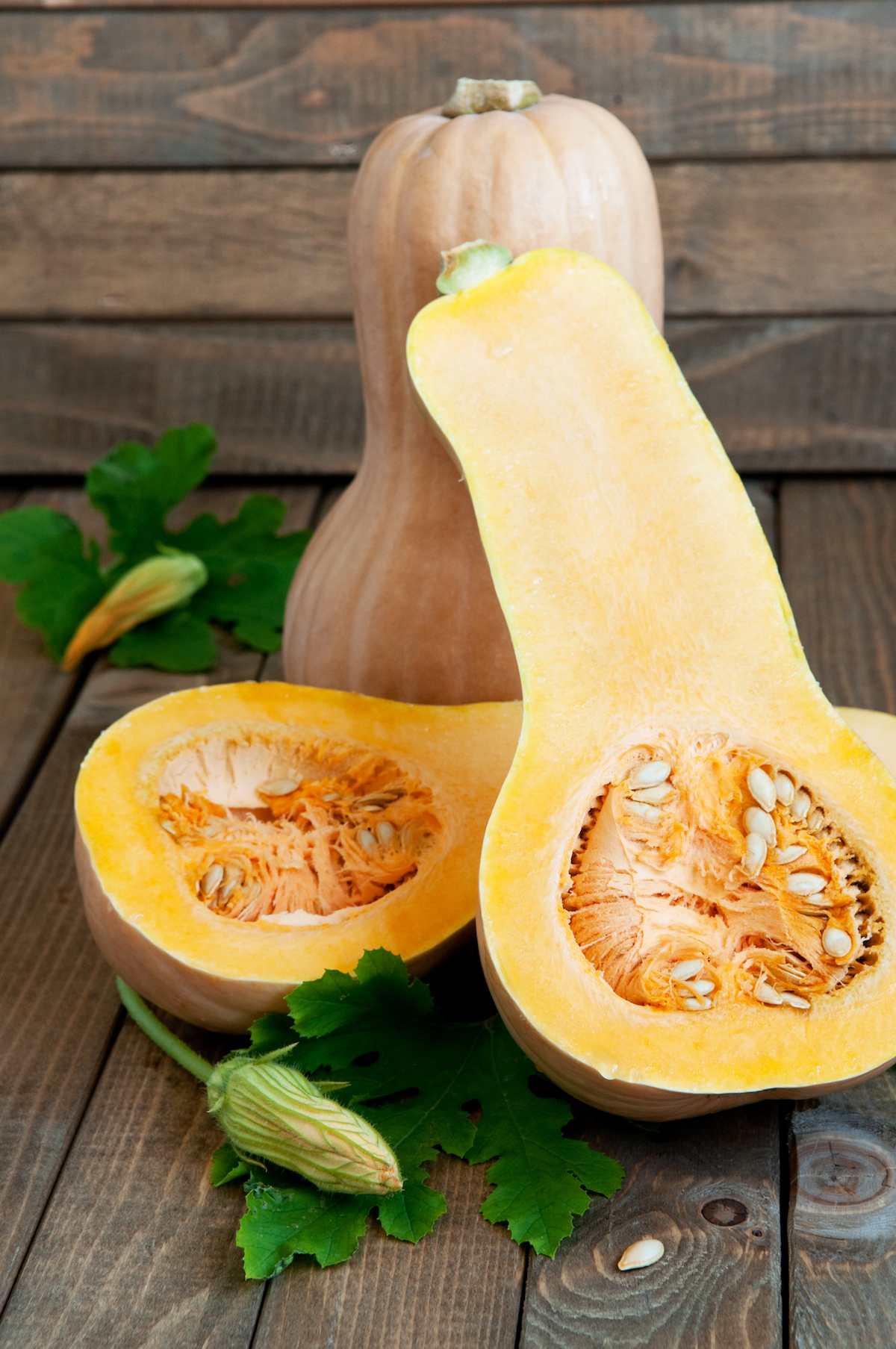 Butternut © inerika shutterstock
