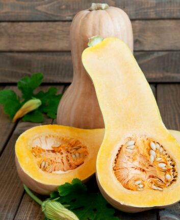 Courge butternut ©Shutterstock