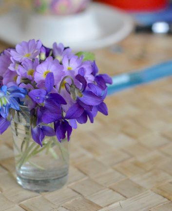 Bouquet de violettes ©utroja0 CC0 pixabay