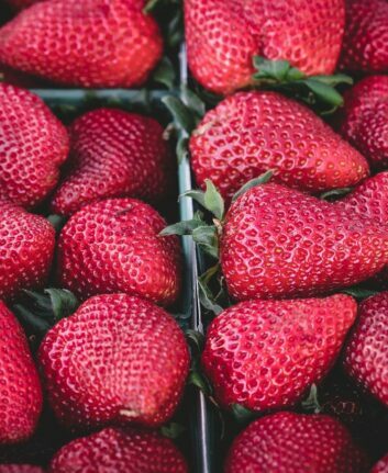 Fraises