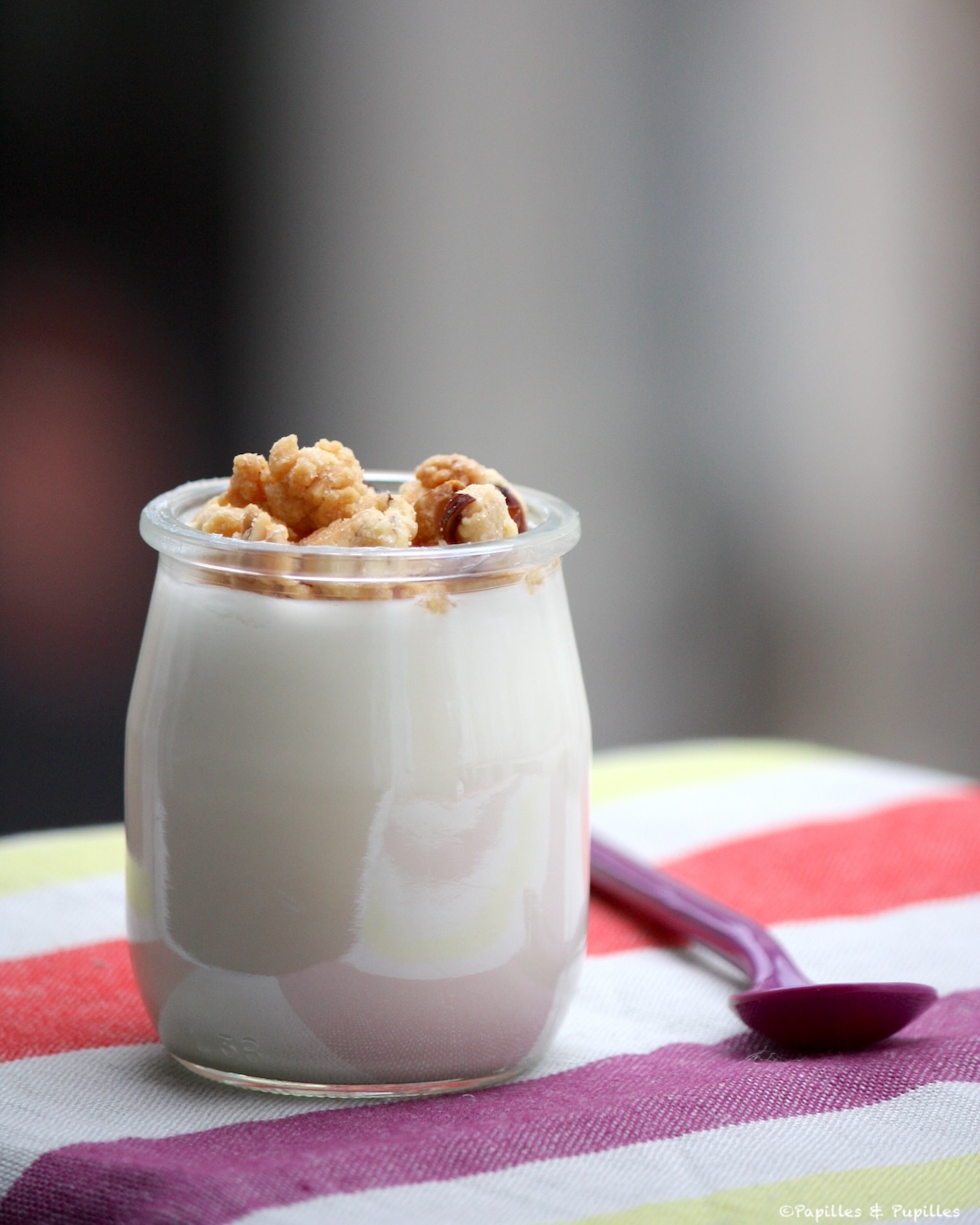 Yaourts au sirop d’agave et aux miettes de noisettes