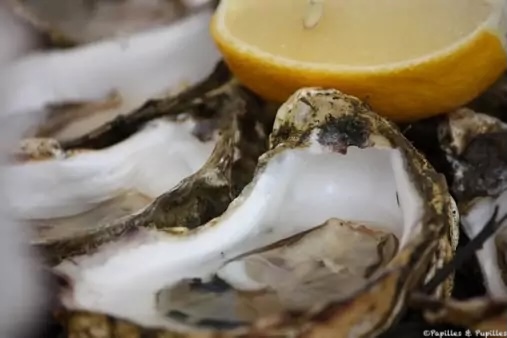 Huîtres fraîches servies avec citron au marché de Dublin