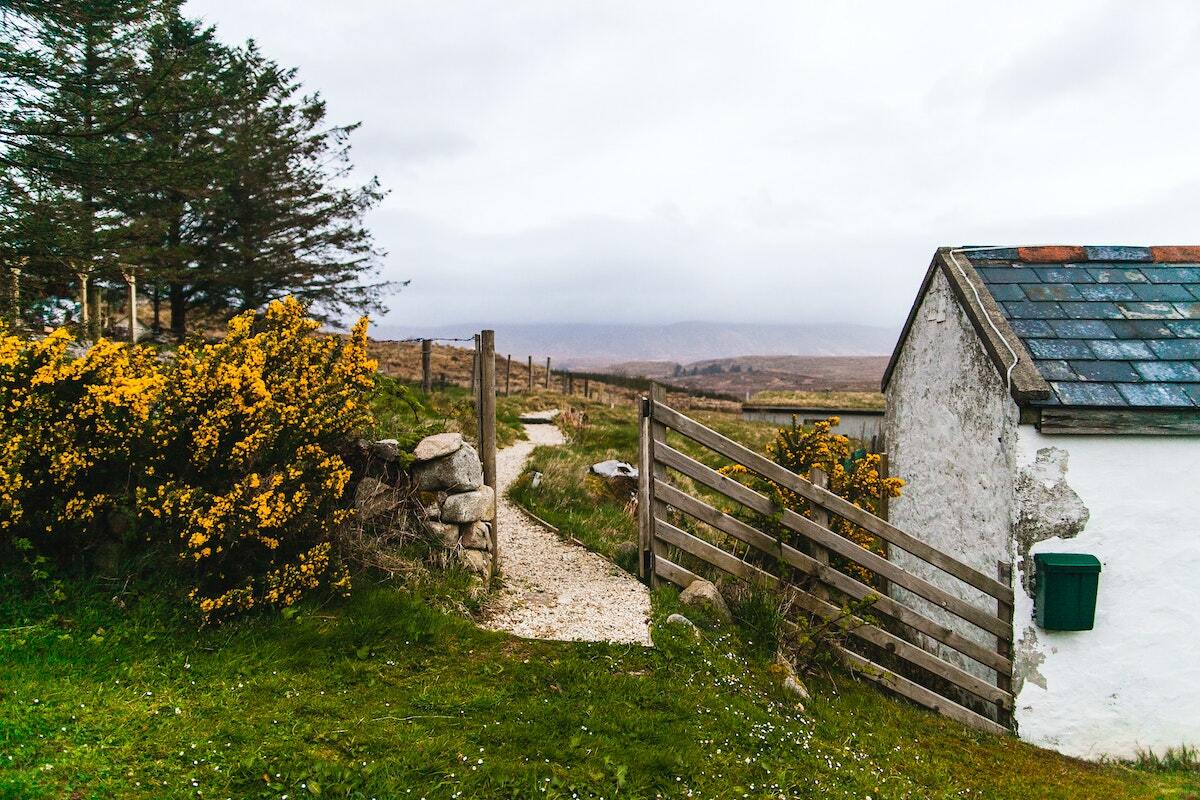 Paysage irlandais près de Dublin