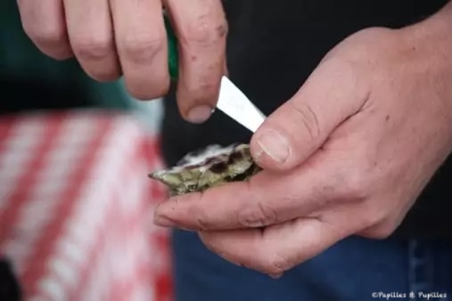 Vendeur ouvrant une huître fraîche sur le marché de Dublin