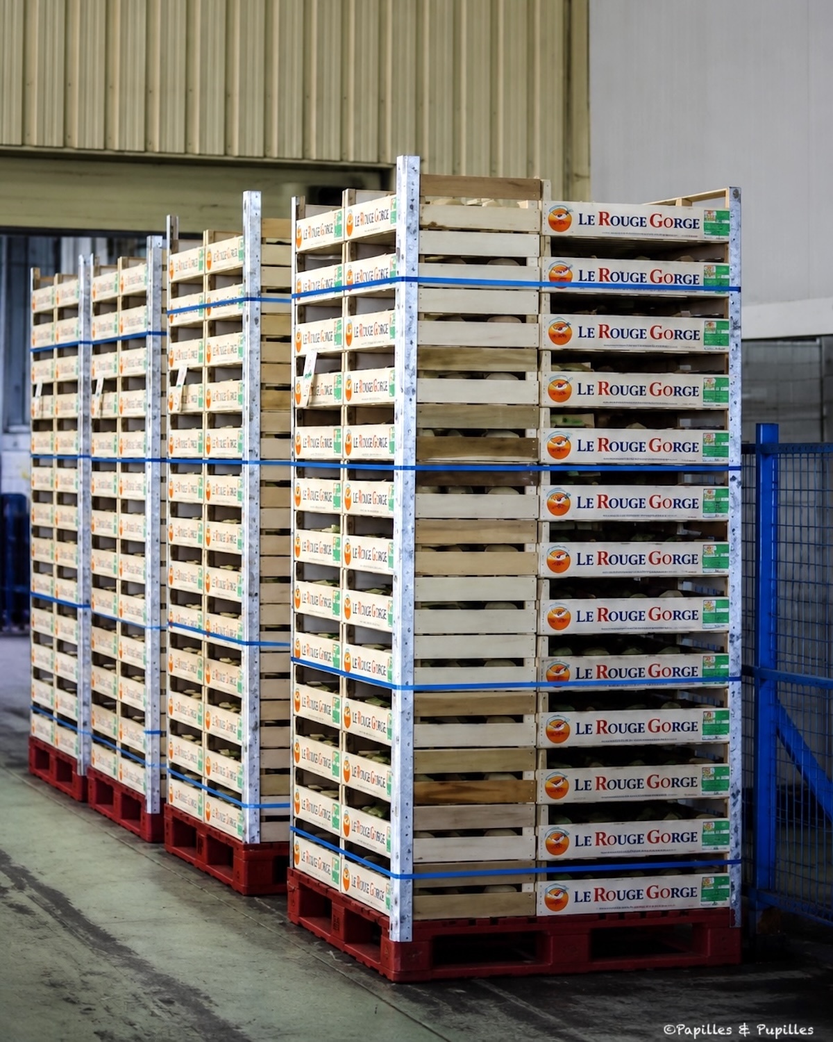 Palettes de melons prêtes à partir vers les points de vente