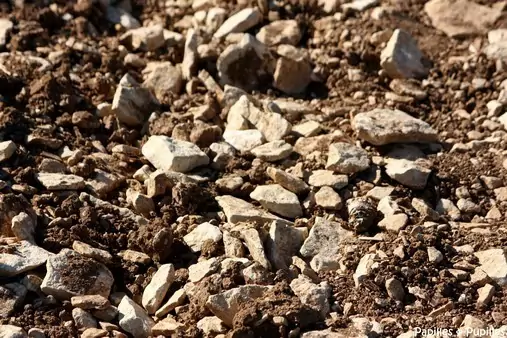 Terre argilo-calcaire